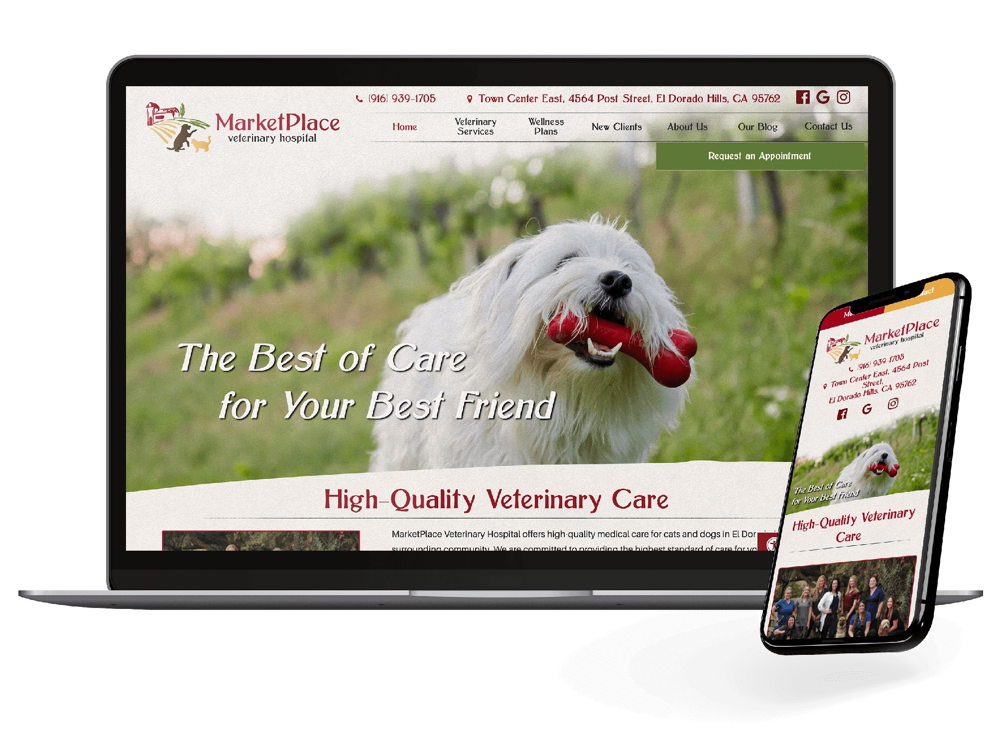 Custom Veterinary Website example