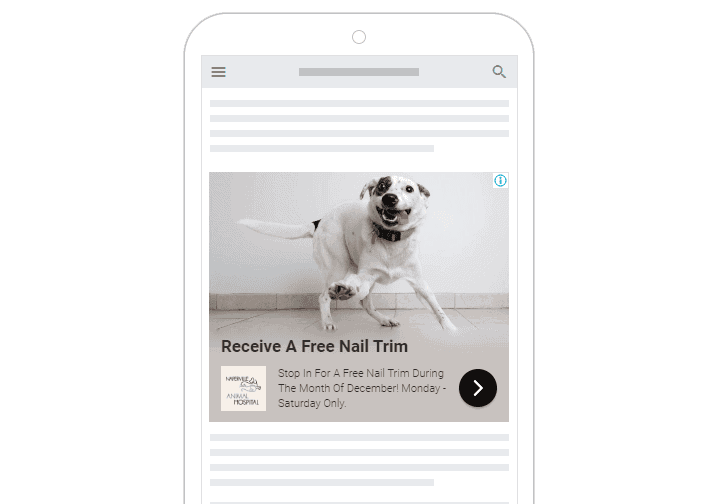 Beyond Indigo Pets PPC Ads