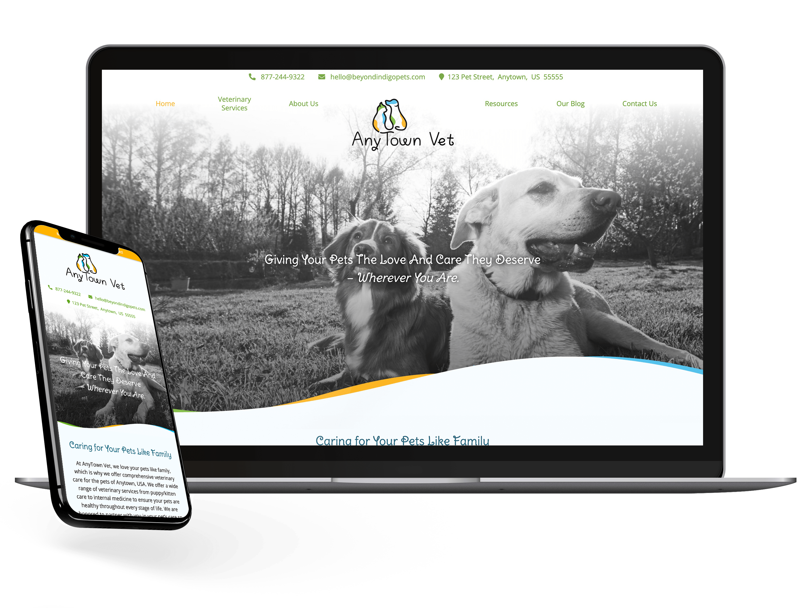 Beyond Indigo Pets website